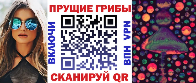 Псилоцибиновые грибы Psilocybe  Симферополь 